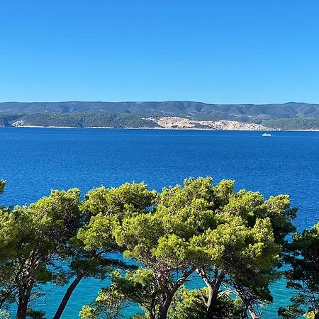 Blue View Studio Lokva Rogoznica Dış mekan fotoğraf